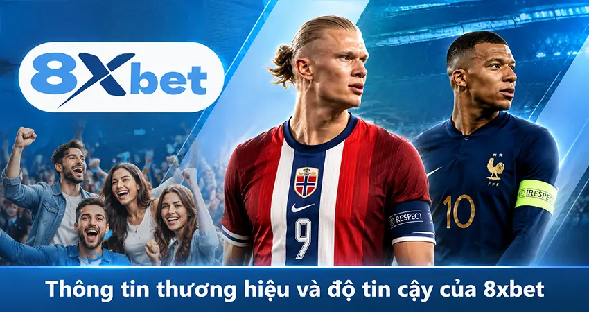Thông tin thương hiệu và độ tin cậy của 8xbet