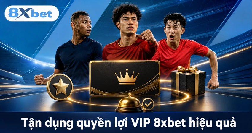 Tận dụng quyền lợi VIP 8xbet hiệu quả